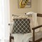 Deerlux 16" Handwoven Cotton Throw Pillow Cover with Ogee Pattern and Tasseled Top with Filler, Charcoal QI004313.CH.K - alternate 3